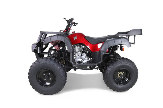 Taotao 250 Rhino Adult Utility ATV